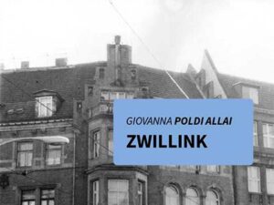 Zwillink - Giovanna Poldi Allai - Copertina del libro